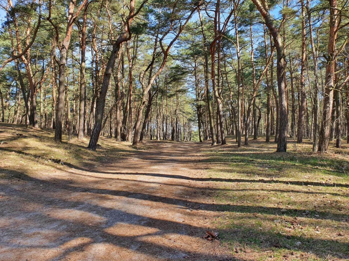 Apartamenty Wislany Przekop Gdansk Bagian luar foto