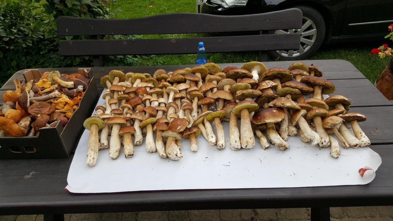 Apartamenty Wislany Przekop Gdansk Bagian luar foto
