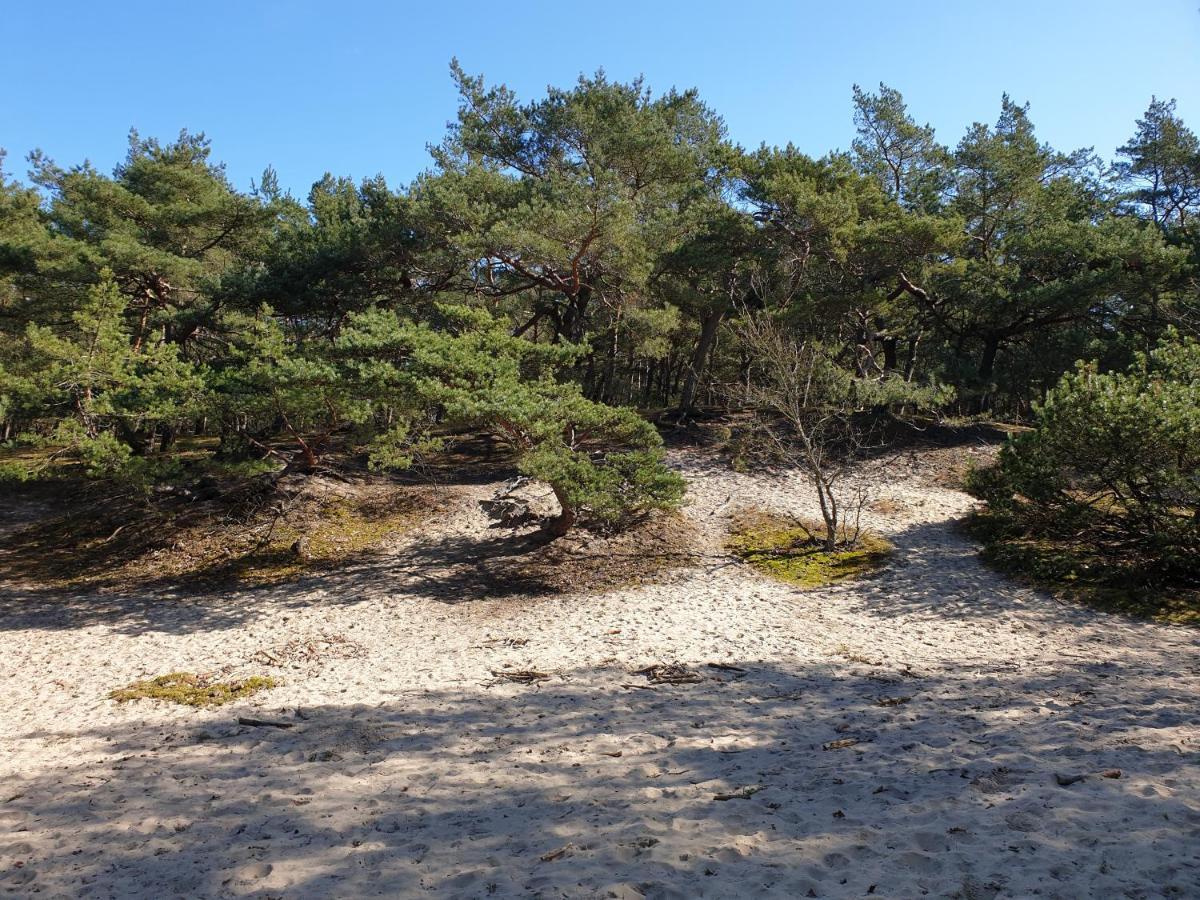 Apartamenty Wislany Przekop Gdansk Bagian luar foto